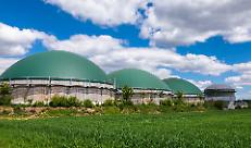 DL Bollette: a rischio l'attivit&agrave; di biogas e biomasse