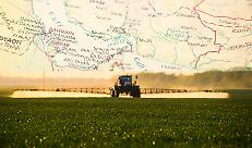 Il fertilizzante come leva geopolitica: il Golfo in guerra fa tremare il prezzo globale del cibo