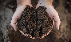 Alternative ai fertilizzanti da gas: tecnologie, riciclo e fertilizzanti organici