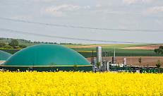 l piano quinquennale per il biometano: come funzioner&agrave; per agricoltori e investitori