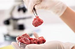 Boselli: Carne coltivata e zootecnia, coesistenza possibile?