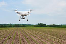 Attivati 100 milioni per cereali e zootecnia da carne dal 2023 al 2025 