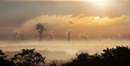 Crediti di Carbonio: al CREA il Registro Pubblico