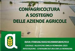 Alluvione in Emilia Romagna, scatta la solidarietà: Confagricoltura a sostegno delle aziende agricole