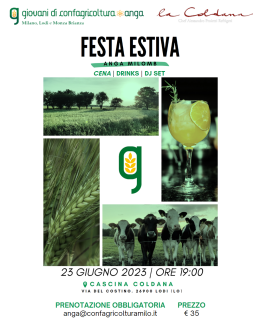 Festa Estiva ANGA