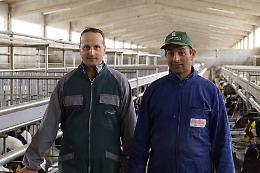 Alla scoperta dell'allevamento dei vitelli a carne bianca: la società agricola Tosi di Remedello