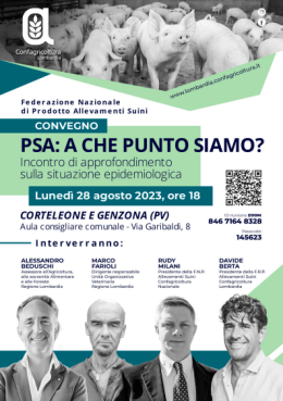 PSA: A CHE PUNTO SIAMO?