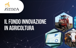 ISMEA, ecco il bando