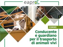 Conducente e guardiano per il trasporto di animali vivi