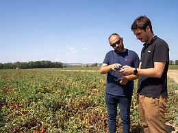 Digitalizzazione delle filiere agroalimentari