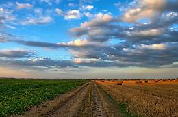 Carbon farming, Confagricoltura: L'accordo UE lascia indietro la zootecnia