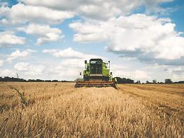 UCRAINA, Confagricoltura chiede agli europarlamentari di sostenere l' inclusione di cereali e semi oleosi nella lista dei prodotti sostenibili