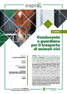 Conducente e guardiano per il trasporto di animali vivi