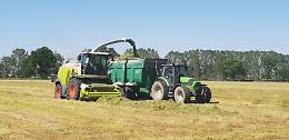 Boselli: "Bene la visione dell'agricoltura di Hansen"