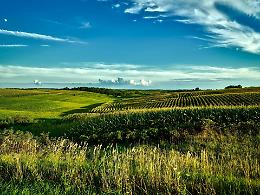 "L' Agricoltore Prealpino" di Confagricoltura Varese 