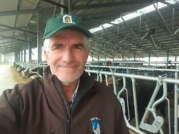 Boselli, "Latte, fine anno difficile". Tavoli convocati al Ministero e in Regione