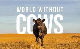 Un mondo senza vacche e senza zootecnia? Impossibile da immaginare