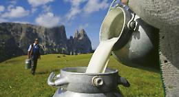 In Regione istituito il "Tavolo del latte crudo". Tutelare prodotti e salute dei consumatori