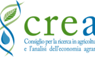 layout_set_logo