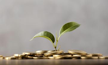 front-view-of-plant-growing-from-golden-coins