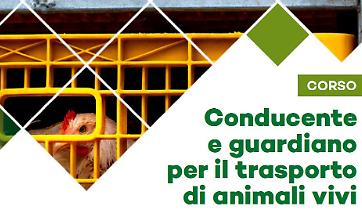 Immagine 2022-05-16 101224