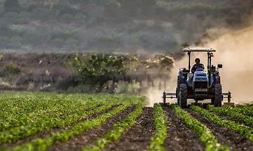 Rinnovo CPL impiegati agricoli provincia di Cremona