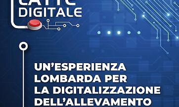 Il bilancio del progetto