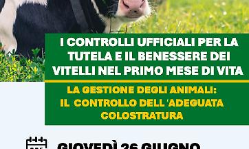 TUTELA E BENESSERE DEI VITELLI NEL PRIMO MESE DI VITA