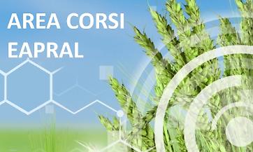 Area Corsi EAPRAL