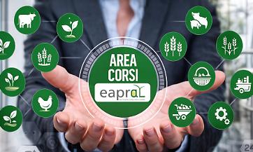 Area Corsi EAPRAL