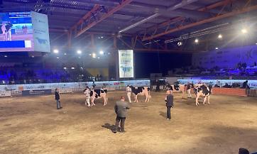 Regine in prova: la Holstein va in scena all’80ª Fiera Zootecnica di Cremona