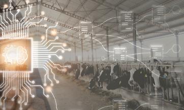 Dati, algoritmi e stalle: con l’intelligenza artificiale indietro non si torna