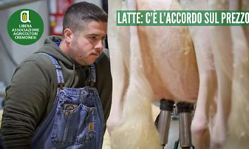 Accordo al ministero sul prezzo del latte: 53 centesimi di media nel primo trimestre 2026