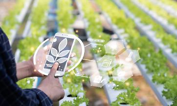 Perch&eacute; i fondi all'innovazione agricola non arrivano agli agricoltori