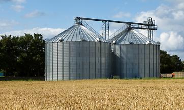 L&rsquo;Europa alla prova del grano: perch&eacute; l&rsquo;agricoltura deve tornare al centro delle scelte politiche