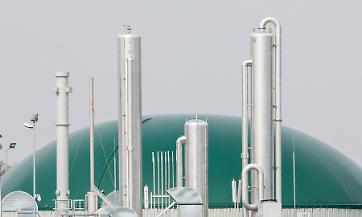 Dl Bollette e agroenergie: tagliare oggi per pagare domani? Perch&eacute; l&rsquo;Italia non pu&ograve; permettersi di perdere biogas e biomasse