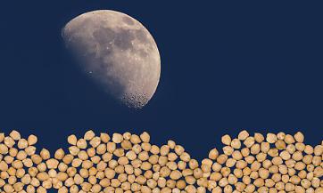 Ceci sulla Luna: come scienziati del Texas hanno trasformato &ldquo;polvere morta&rdquo; in un terreno che d&agrave; semi