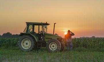 Fertilizzanti e fame: come la crisi dello Stretto di Hormuz pu&ograve; tradursi in una crisi alimentare globale