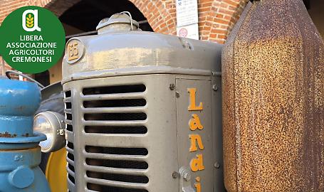 Il grazie della terra: volti, fede e trattori alla festa del ringraziamento