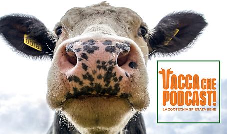 VaccaChePodcast, la zootecnia spiegata bene diventa un fenomeno pop