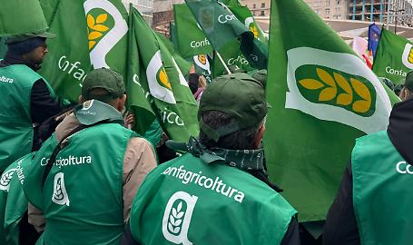 PAC e Mercosur, Confagricoltura: &laquo;Nessuno scambio tra fondi agli agricoltori e accordo commerciale&raquo;