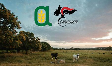Protocollo Carabinieri&ndash;Confagricoltura: dalla cornice nazionale alla tutela quotidiana delle aziende