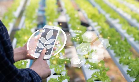 Perch&eacute; i fondi all'innovazione agricola non arrivano agli agricoltori