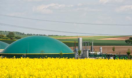 l piano quinquennale per il biometano: come funzioner&agrave; per agricoltori e investitori