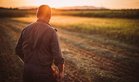 Campi al collasso: come la guerra nel Golfo sta soffocando l&rsquo;agricoltura italiana (e mondiale)