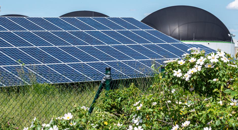 DL &ldquo;Bollette&rdquo;: cosa potrebbe cambiare per biogas, biomasse e fotovoltaico